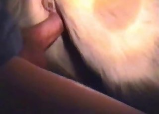 Fucking a tight horse crack in doggy style