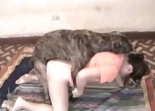 Horny zoophile gets banged hard from behind