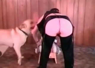 Impressive oral job sex with a good-looking rear end