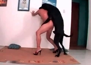 Intense hound is having sexual fun with a lovely blonde