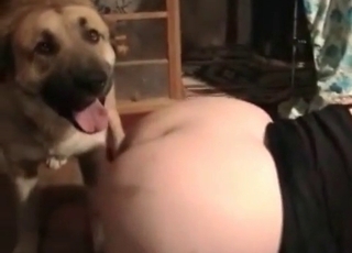Doggy style fucking with hounds in this great video