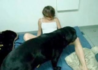 Oral bestiality session with a hot doll