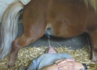 Pony pissing everywhere, including that mouth