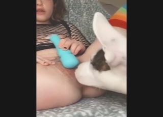 Live dog cunnilingus + toy-fuck whore play