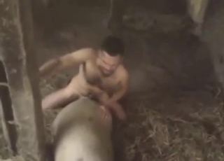Naked dude barn-fucking farm beast, 100% raw