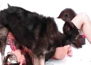 Sweet masked sluts are enjoying dirty bestiality
