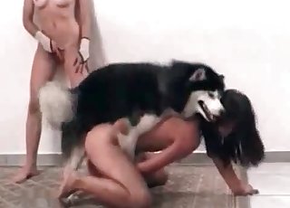 Horny sluts decide to have some kinky fun with a dog
