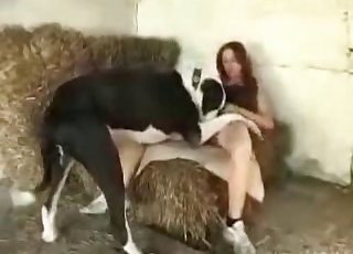 Large canine is having sex with a hot slim zoophile