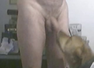 A man is training his pet to give him a blowjob