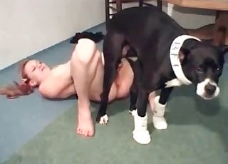 Incredible hound is totally drilling this wet pussy for fun