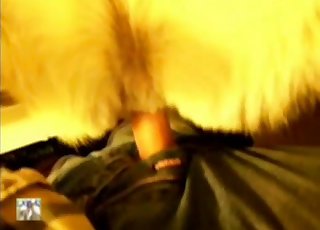 Missionary banging for a really handsome hound by a horny person