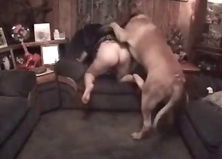 性感大屁股娃娃被自己的野獸猛操