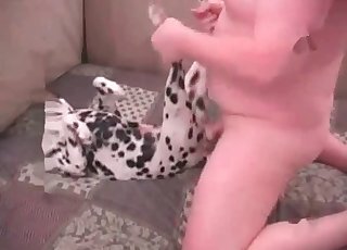 Sexy Dalmatian is getting fucked by a filthy animal