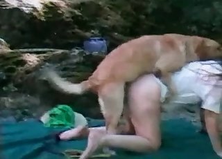 Outdoor sex action with my sweet doggy