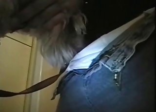 Cute little doggy is fucked by a really large cock