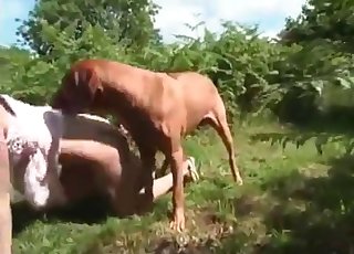Naked zoophile is having sexual fun with a puppy