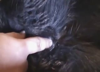 The wet cunt of a pet gets fingered in the video