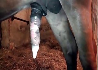 Tiny pony really enjoys this filthy bestial fun - Zoofilia anale-> 