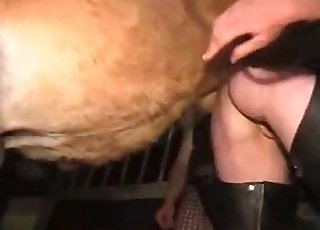MILF in leather pants and a horny animal have good sex