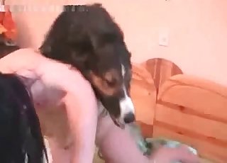 Dog is being used as a fleshlight by a zoophiliac person