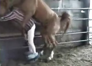 Woman is having an intense bestiality entertainment