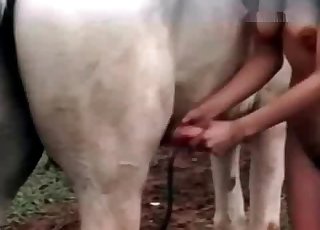 The main star of this amazing animal sex vid is a white horse