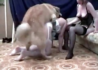 Filthy as fuck bestiality sex with my lovely animal