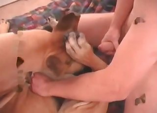 Cheerful blowjob for a cute doggo by a sexy man