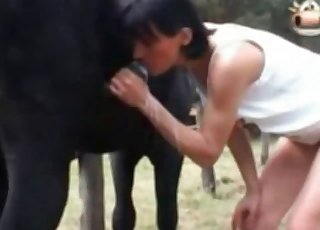 Woman with dark hair enjoying her lovely horse