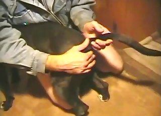Watch how he is drilling his lovely animal