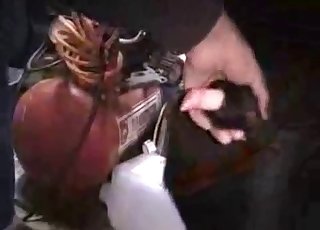 Hot beast with high libido is pounded hard from behind