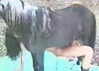 A really tight hole gets totally destroyed by a horse