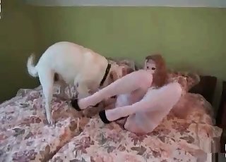 Filthy bride is having bestiality sex with a puppy