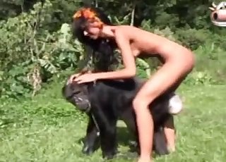 Amazing monkey has some sexual fun in the jungle - Zoofilia anal-> 