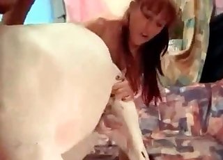 Threesome fun for a horse with a brunette and a redhead