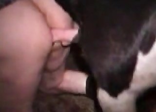 Naughty farm beast in the bestiality XXX