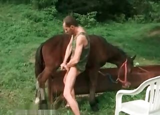 Dude is having sexual entertainment with a horny horse