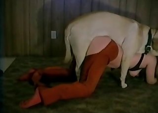 Ultra-kinky animal fuck-a-thon at the barn