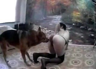 Instructed German mutt is giving a pussy eating