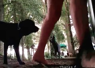 Redhead gets a cuni by her doggy
