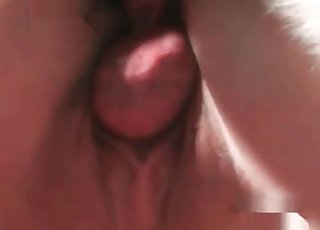 Impressively swift and intensive zoophilia sex