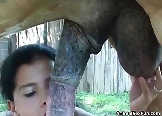 Lusty brunette is providing a perfect zoophilia head