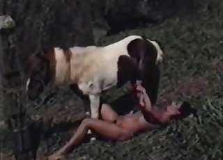 Sexy outdoor bestiality porn action