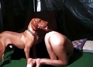 Sweet British hound and naked pussy