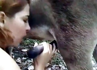 Sensuous oral hook-up with a nice-looking animal