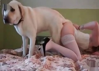 Dirty anal sex of a hairy doggy