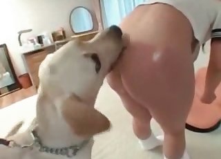 Doggy is having a nice bestiality game