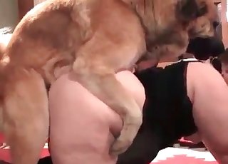 Super-hot vaginal sex with a trained animal and zoophile