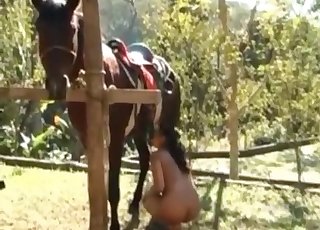 Horse cock is getting sucked by a naughty zoo slut