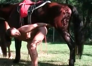 Hardcore stallion pounds with a leggy brunette